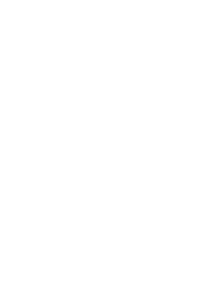 White logo for SOLO System