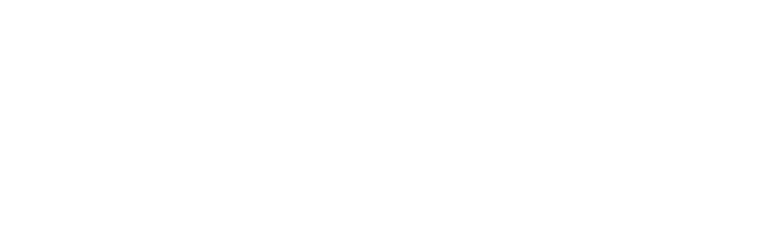 SOLO Workout